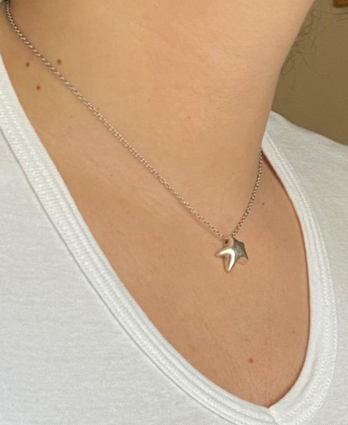 silver star necklace