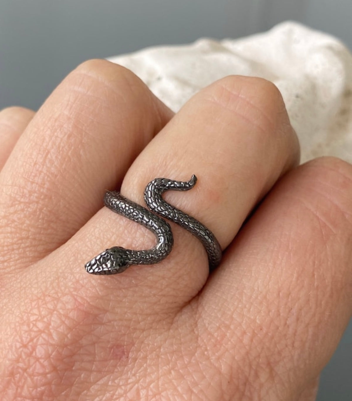 black ring snake