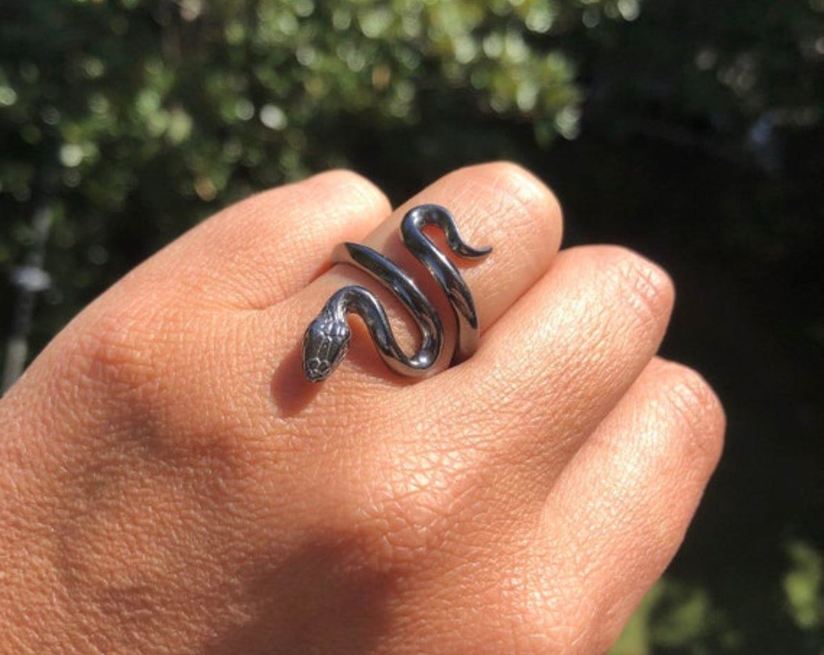 Black snake ring silver